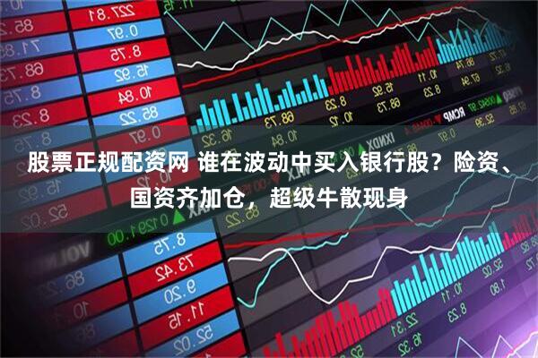 股票正规配资网 谁在波动中买入银行股？险资、国资齐加仓，超级牛散现身